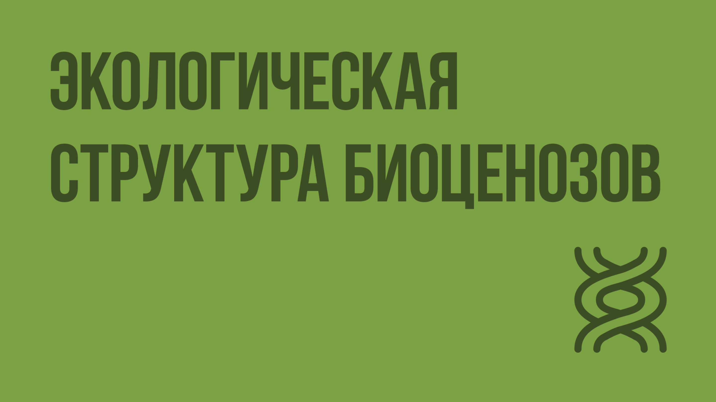Экологическая структура биоценозов. Видеоурок по биологии 11 класс