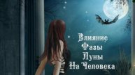 Влияние Фазы Луны на человека 8️⃣ Февраля 2️⃣0️⃣2️⃣5️⃣ 🌒🌓🌔🌕🌖🌗🌘🌙🌛🌜🌝
