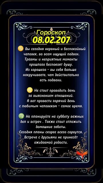 08.02.2025