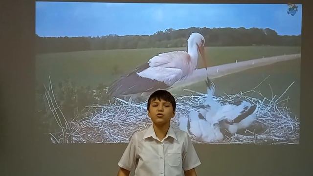 "Аист на крыше" Терехов Прохор школа  интернат 73