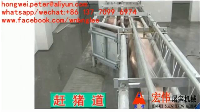 Manually Operated Hog Restrainer pig passageway for pig slaughter line schlachtausrüstung schwein