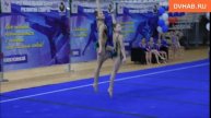 Участницы первенства ДФО по акробатике рассказали о самых сложных элементах своих программ