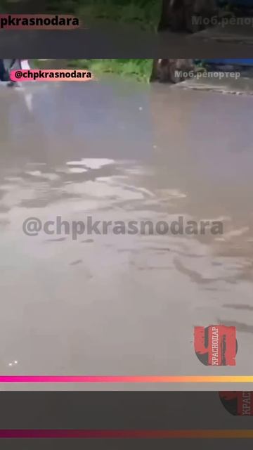 В Краснодаре на улице Тепличной проходит ежедневный квест «Забери ребенка из школы»