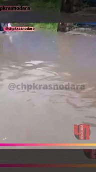 В Краснодаре на улице Тепличной проходит ежедневный квест «Забери ребенка из школы»