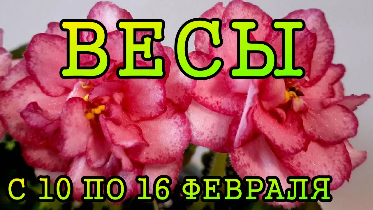 ВЕСЫ таро прогноз на неделю с 10 по 16 ФЕВРАЛЯ 2025 года.