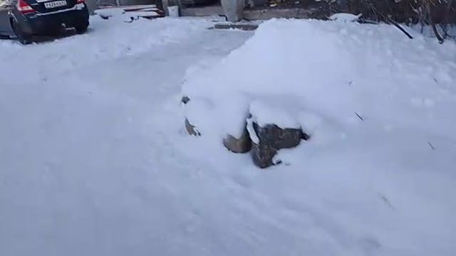станция Петрокрепость