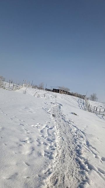 Мороз и солнце день чудесный