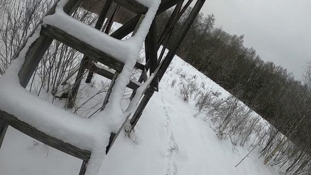 Опять кормлю !Проверил вышку.