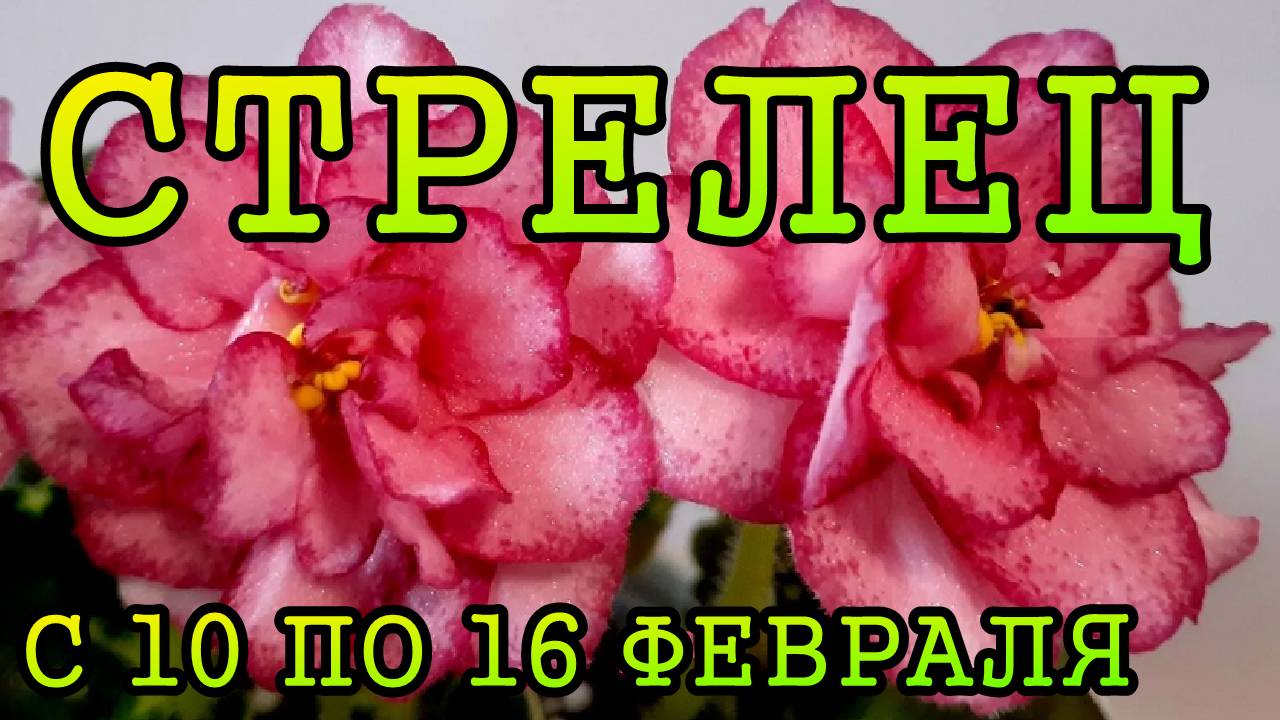 СТРЕЛЕЦ таро прогноз на неделю с 10 по 16 ФЕВРАЛЯ 2025 года.