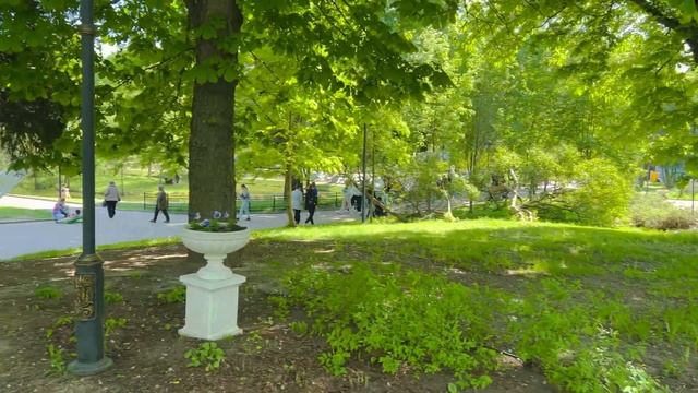 Московская сакура зацвела 🌸 весенняя прогулка