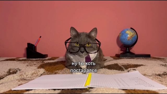 утка латкова сума сохла