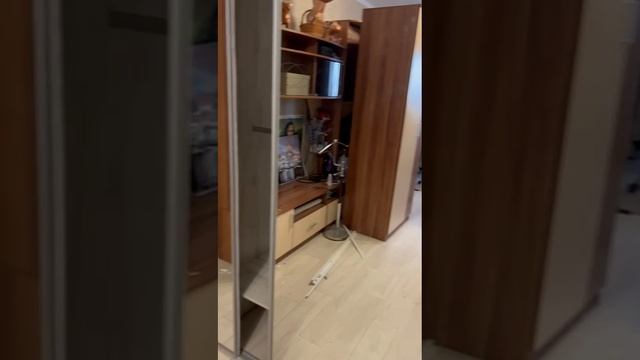 Шкаф-купе зеркальный с мини профилем