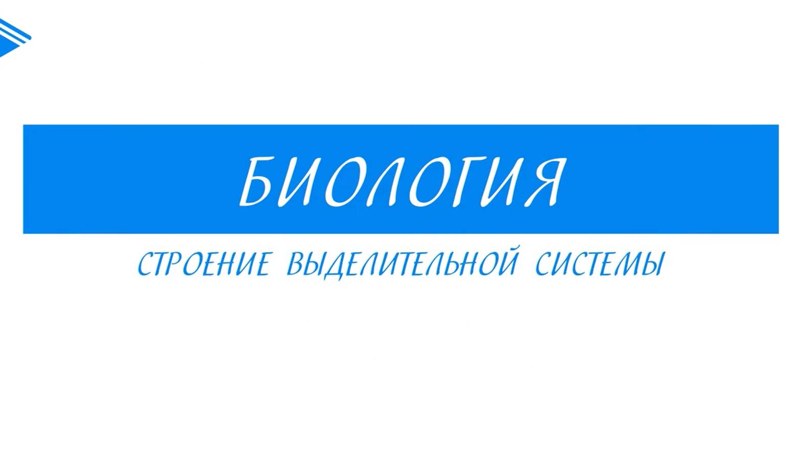 8 класс - Биология - Регуляция работы выделительной системы