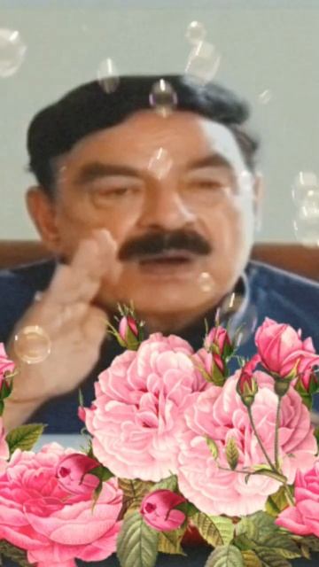 Sheikh Rasheed