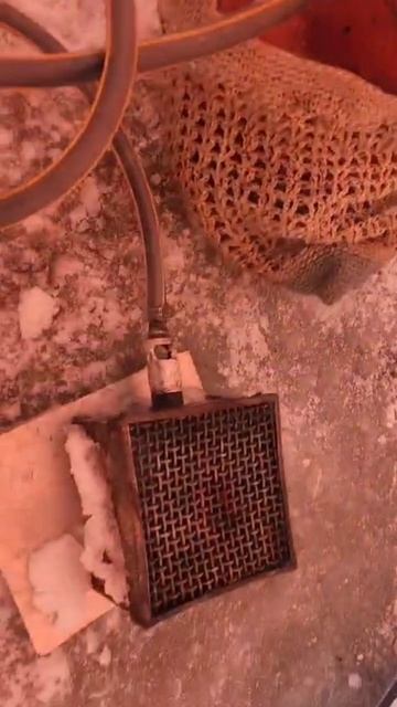 scene_output.mp4