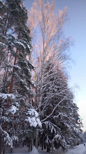 Ты кукушка брось куковать.
