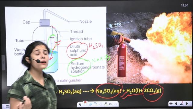Importance of Baking soda POP, Washing soda, Caustic soda|CET| Reet mains| RAS|LDC| Everyday scienc