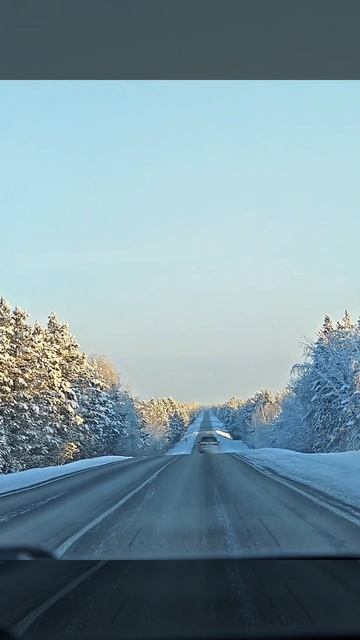 Дорога домой