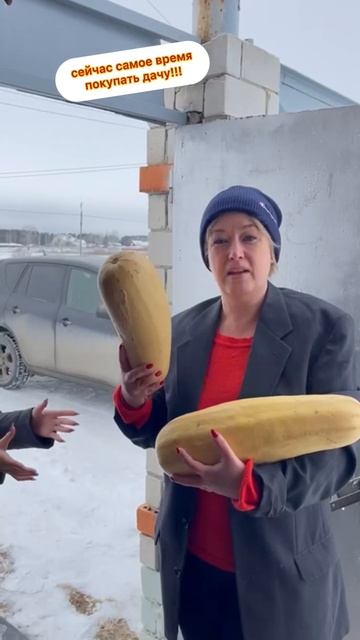 В смысле ты дачу не хочешь ?