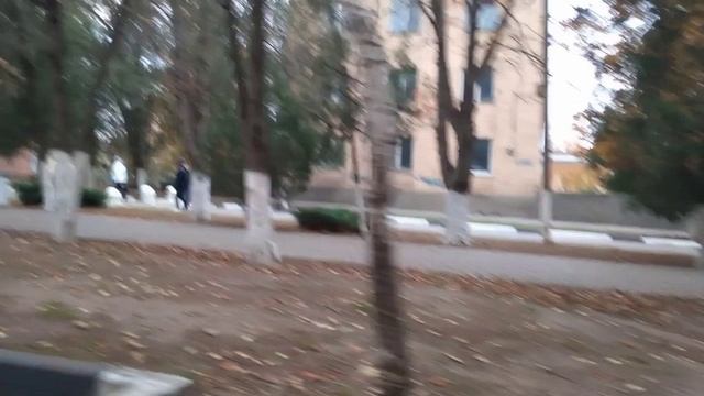 Сальск 10 ноября . 2024