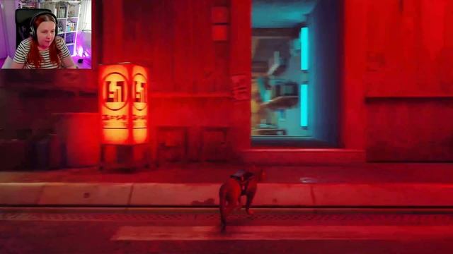 Time to find CLEMENTINE! - Stray (Part 5)