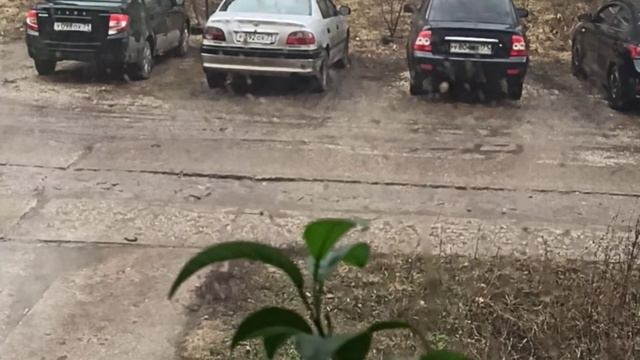 ЭКОНОМ ПОКУПКИ ДЛЯ ДОМА 🛍 ПОКУПКИ WILDBERRIES