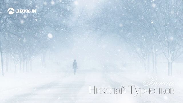 Николай Турченков "Вьюга"