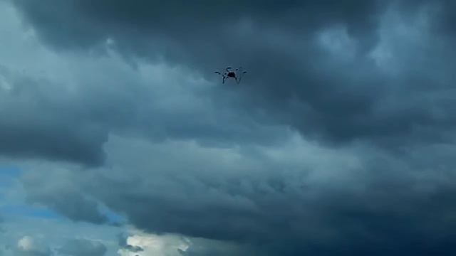 Кролик рулит!