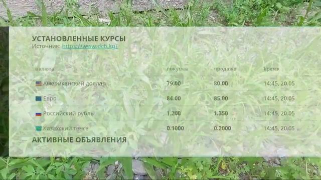 Курс валют 20 - май 2022 ж. Бугунку курс / Жанылыктар / доллар, рубль ж.б. Жалал - Абад / Кыргызста