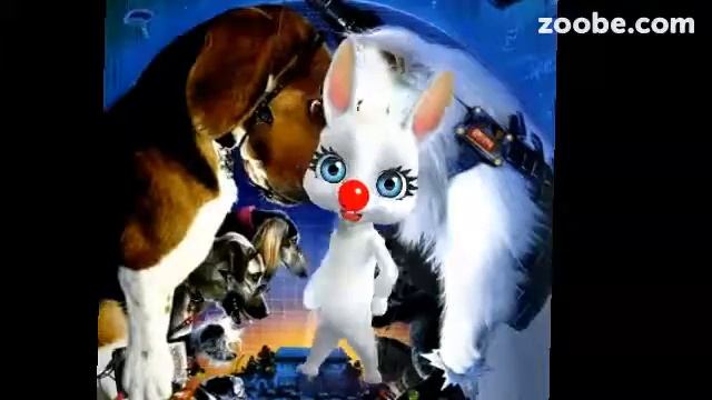 Кошки или собаки? 2 видео.