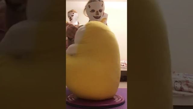 Плюшевые хомяки!!!!!!!!!!!!!!!!!!!!!!!!!!!!!!!!!!!!!!!!!!!!!!!!!!!!!!!!!!!!!!!!!!!!!!!!!!!!!!!!!!!!