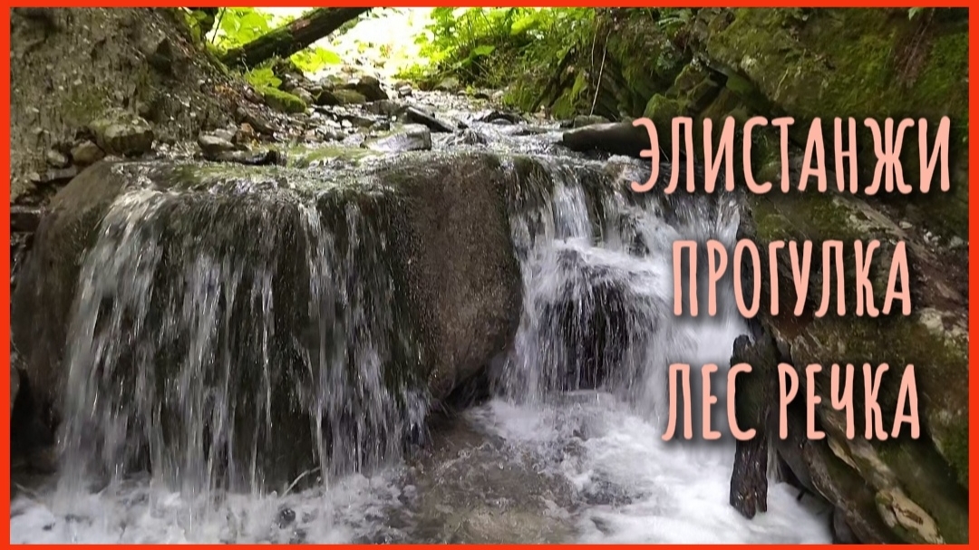 ЭЛИСТАНЖИ ПРОГУЛКА ЛЕС РЕЧКА