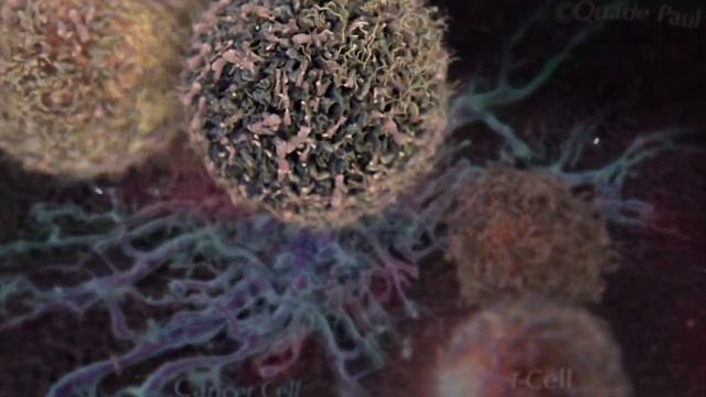 Tcell targeting Cancer