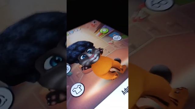 Кот Том Стал Обычным Мультики Игру СМОТРЕТЬ ВСЕМ!
