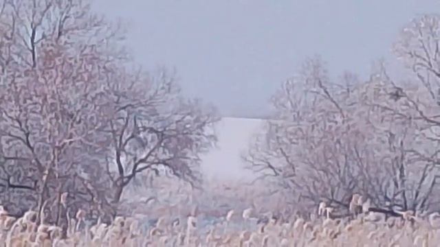 зимняя сказка