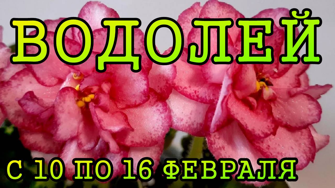ВОДОЛЕЙ таро прогноз на неделю с 10 по 16 ФЕВРАЛЯ 2025 года.