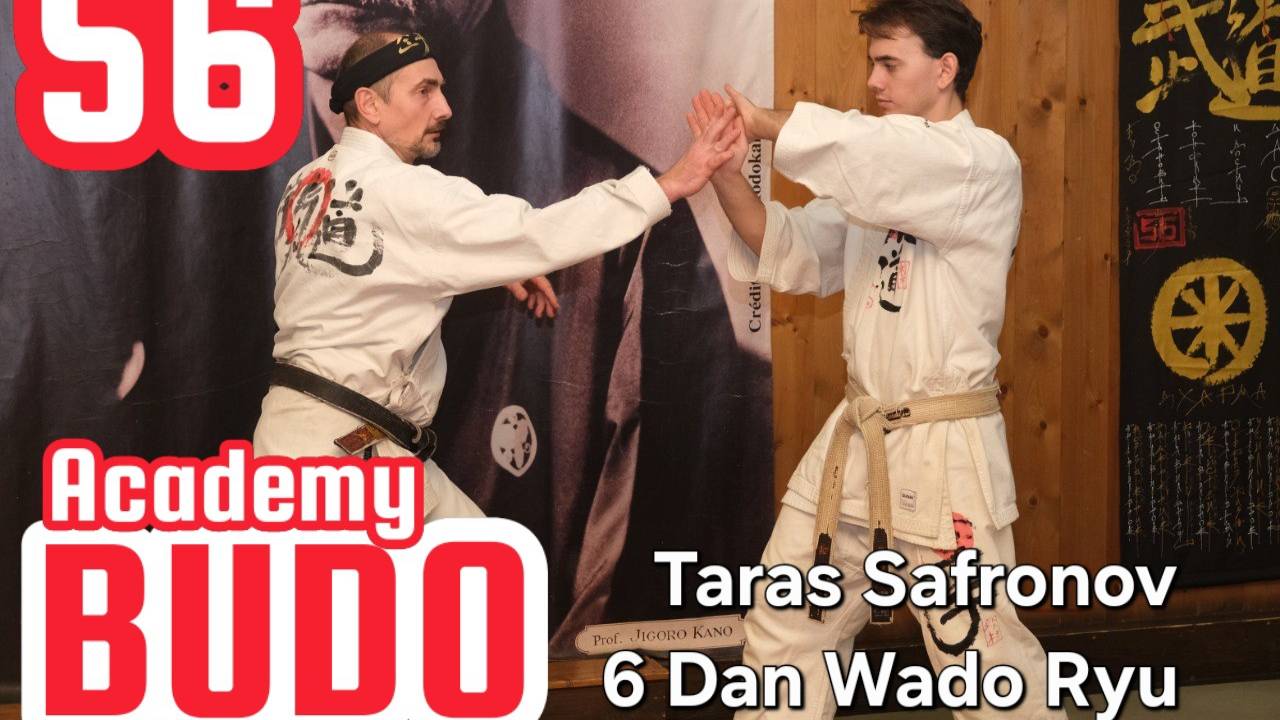 BUDO ACADEMY 56 SAFRONOV TARAS  6 DAN WADO RYU⁫