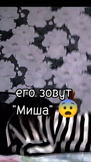 гадайте про кого говорится🤫 🤭 на фоне автор 🥰