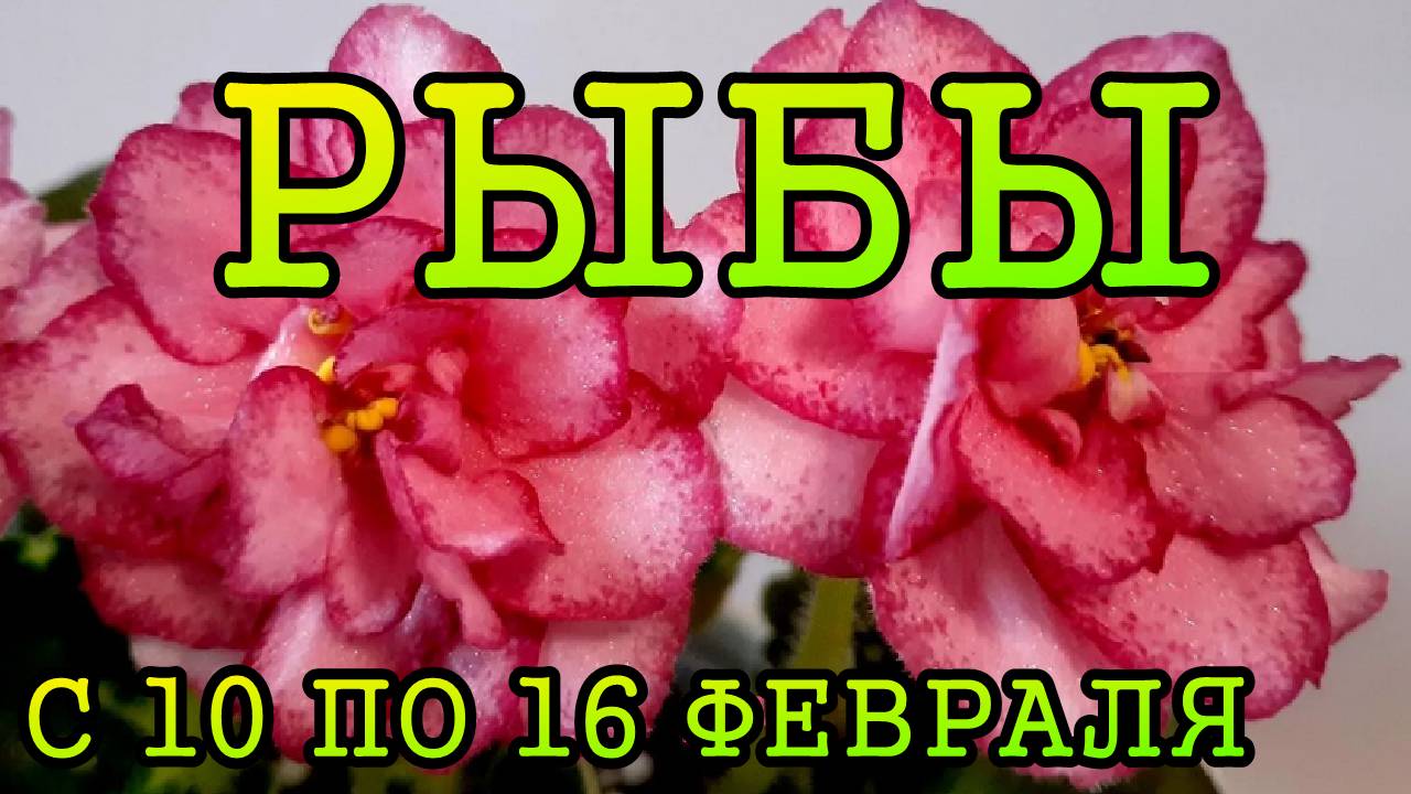 РЫБЫ таро прогноз на неделю с 10 по 16 ФЕВРАЛЯ 2025 года.