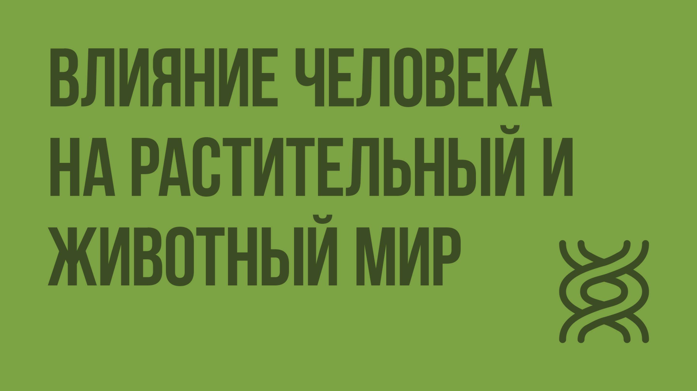 Влияние человека на растительный и животный мир. Видеоурок по биологии 11 класс