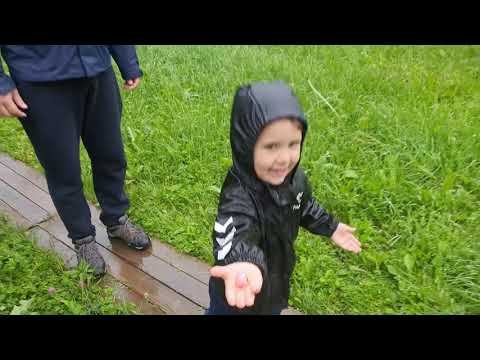 База отдыха Территория Уюта в Карелии