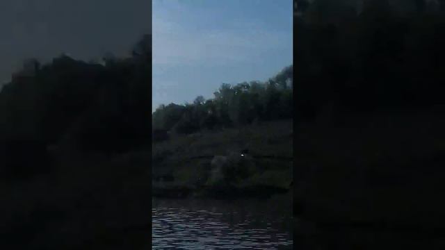 Пруд Терновая, Рыбалка 06.05.18г