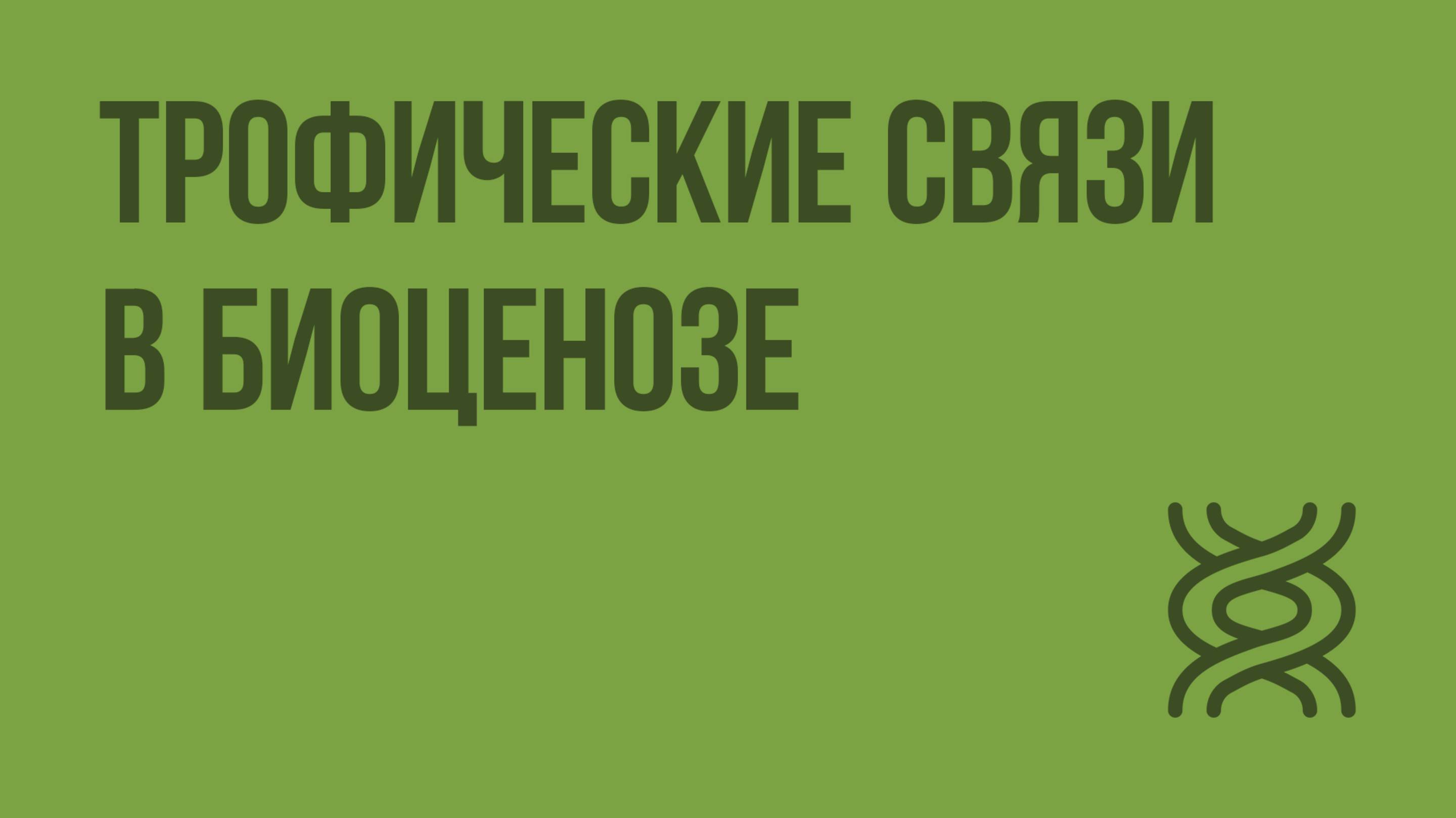 Трофические связи в биоценозе. Видеоурок по биологии 11 класс