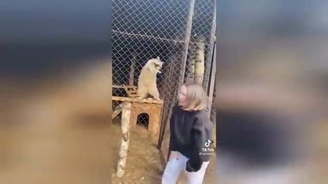 ЛУЧШИЕ ПРИКОЛЫ ДЛЯ ВЗРОСЛЫХ🤣🤣👍