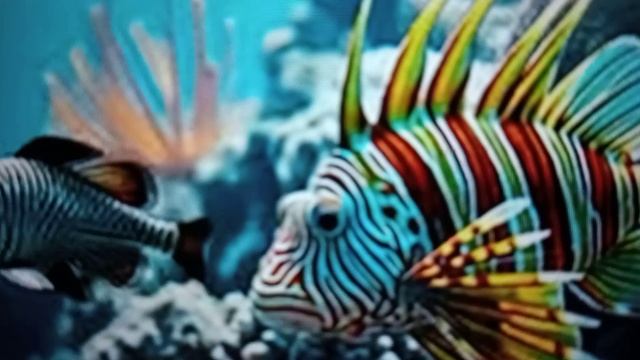 Разноцветные морские обитатели🤔😉