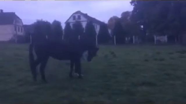 Ozon a Kristýna