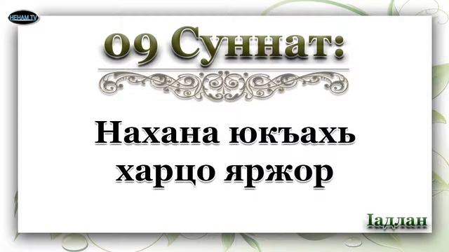09 Нахана юкъахь харцо яржор / Iадлан