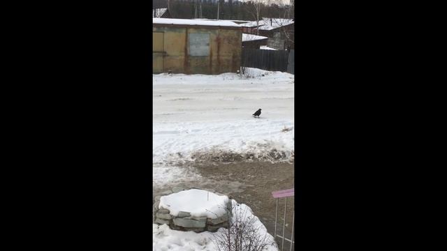 419. 25.10.20г. Зеркала продолжаются заливаться и мазаться разной херью…