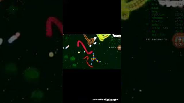 Wormax.io большой червяк