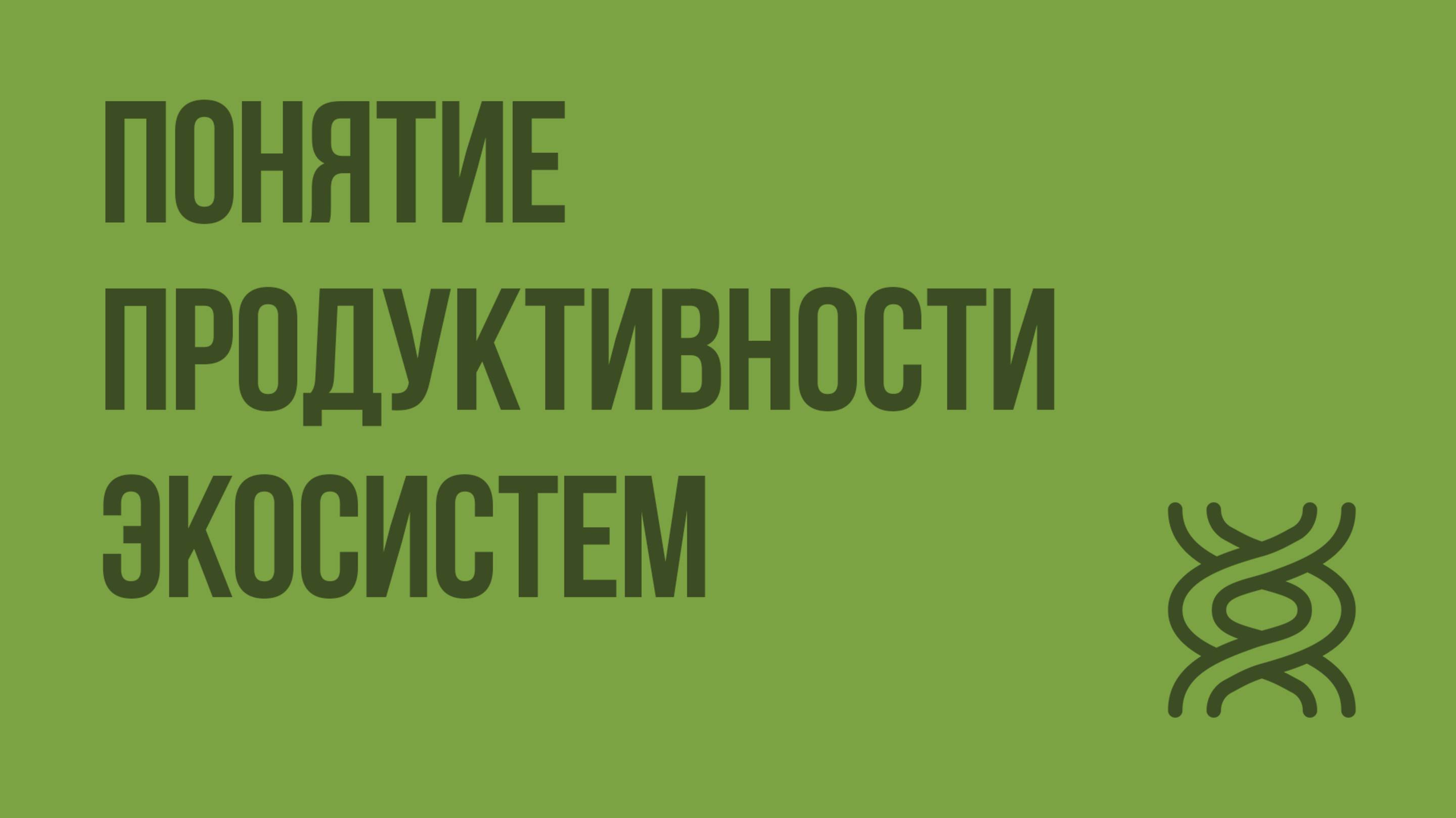 Понятие продуктивности экосистем. Видеоурок по биологии 11 класс